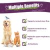 Amber Naturalz Pets-C&C Sinus Support for Pets, 1 oz.