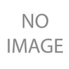 SCE Gaskets SCE Gasket 167101 Intake Gasket
