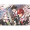 Starry ☆ Sky – In Spring – Clear B5 Sled A mu-bikku