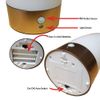 The Glowhouse Premium Style PIR Motion Sensor LED Night Light