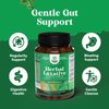 Herbal Laxative Capsules with Probiotics – Colon Cleanse and Digestive Support