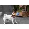Julius-K9 JK9 Duoplay Antibacterial Ball, Small, Blue