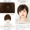 Brightlele hf1284-BC-S Wig, Short, Full Wig, Bob, Natural, Men's Clothing, Short Hair, Short Bob