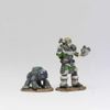 Girl Druid and Stone Creature Wardlings