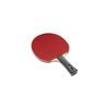 Mizuno 83JTT698 TECHNIX/ROOKIE SET Table Tennis Entry Model