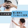 Gatsby Perfect Shampoo (Refill) Men's Scalp Care Damage Care
