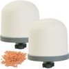 Replacement Ceramic Dome Water Filter  (2 pieces)