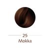 25- Sanotint Classic Mocha hair dye