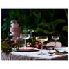 IKEA STORHET Champagne Coupe 30cl Clear Glass