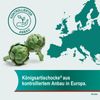 MCM Klosterfrau Vertriebsgesellschaft GmbH Hepar SL Hard Capsules for Digestive Problems 320 mg