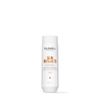 GOLDWELL Dualsenses Sun Reflects After-Sun Shampoo 250 ml