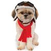 Pet Aviator Hat and Scarf Set, Medium/Large