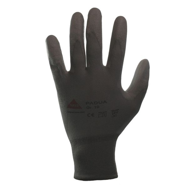 Padova, Colour: Grey, EU Size: 11