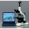 AmScope 1.3MP Microscope Digital Camera USB Video & Stills w Measuring Software