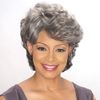 Foxy Silver Synthetic Wig - Emily-F4/27