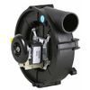 Goodman Furnace Draft Inducer Blower # 22307501 (FB-RFB501)