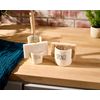 Mud Pie Kitchen Dish Sponge Holder Caddy, Off White