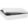 YBM HOME Stainless Steel Covered Cake Pan, Silver (Small-)