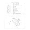 Pactrade Marine RV Auto White Blue Oval LED Ceiling Courtesy Light  Touch Switch
