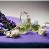 Car Diffuser - Vehicle Air Freshener