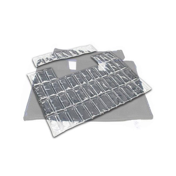 Pro Ice Insert Set for Scapula Cervical Cold Therapy Wrap - PI 101 Neck Shoulder Ice Pack Inserts Only