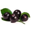 Antioxidant complex - ACAI BERRY EXTRACT 4:1 - immune support organic - 2 Bottle