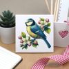 'Blue Tit On Apple Blossom' 108mm Square Ceramic Tile (TD00029486)