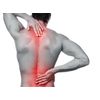 Pain Relief - MSM 1000mg - Joints & Bones Support - 3 Bottles