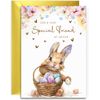 Special Friend Easter Card - Bunny with Easter Eggs Design - A5 Size with Gold Envelope