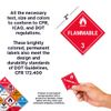 ChromaLabel 2 by 2 Permanent Durable Square D.O.T. Hazard Labels, Hazard Class 3 Flammable Label, 100/Roll
