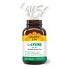 L Lysine Nutritional Supplement 100 Count Vegan Immune Support for Collagen