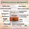 Neem (Margosa) Capsule
