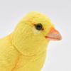 bh7643 hansa canary 9