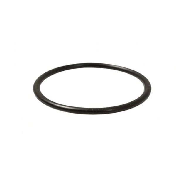 "New" 2F Autotrol Backwash Plug O-ring seal Water Softener Parts 1010110