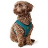Hunter - Arnes Hilo Comfort Xxs-Xs Turquoise