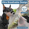 Dog Muzzle, Muzzle for Medium Large Dogs, Adjustable Breathable Mesh Dog Muzzles for Training, Prevent Biting and Barking (M)