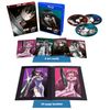 Akame Ga Kill (Limited Collector's Edition) [Blu-ray]
