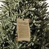 Ornament - Scroll We The People