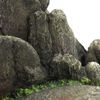 CLASSIC PETBLIS Rocky Ledge 9 inches, 100 g