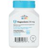 21st Century Magnesium, 250 mg, 110 Tablets