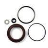 902865 Dixie Chopper Seal Kit for Lawn Mowers