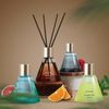 Cedar Grapefruit Reed Diffuser Set with 16 Fiber Sticks,200ml Scent Diffuser for Home Shelf Decor,Last Up 45 Days