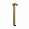 ENKI A14 Antique Brass Fixed Shower Head Arm Vertical Ceiling Mounted Round Design