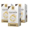 Solgar - 3 Pack - Full Spectrum Curcumin 185x Better Bio-Availability Turmeric Liquid Extract Softgels 60 Count