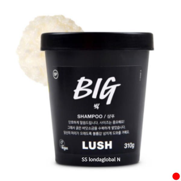 Lush Big Salt Liquid Shampoo Vegan Birthday Gift Recommendation 310g