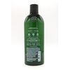Eucalyptus & Spearmint, Bath and Body, Shampoo, 16 fl oz