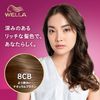 Wellaton 2+1 Milky EX 8CB Brighter Natural Brown (Quasi-Drug) (Fashionable Gray Hair Dye)