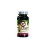 Silver Lining 37 Canine Kidney Support - Herbal Dog Supplement - Natural Support Blend for Normal Kidney & Bladder Function - 90 Capsules