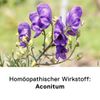 DHU Aconitum D6 Streukügelchen, 10 g Globuli
