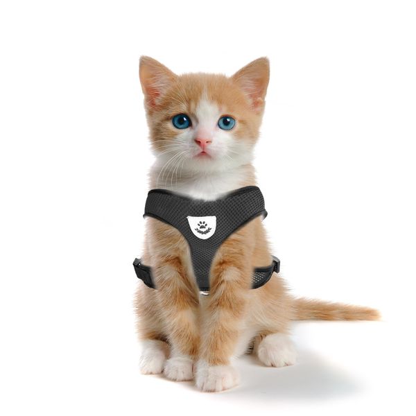 Cat Chest Harness and Leash, Anti-Escape Adjustable Soft mesh cat Leash and Chest Harness Set for Small Cats and Puppies, Medium cat Vest (Size S,Black)